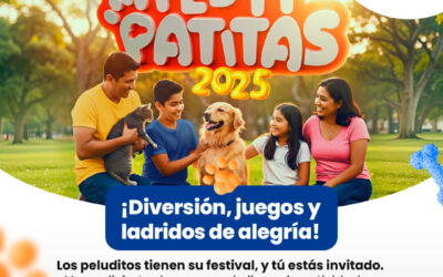 Festipatitas 2025