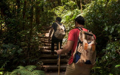 Otra forma de viajar: turismo comunitario